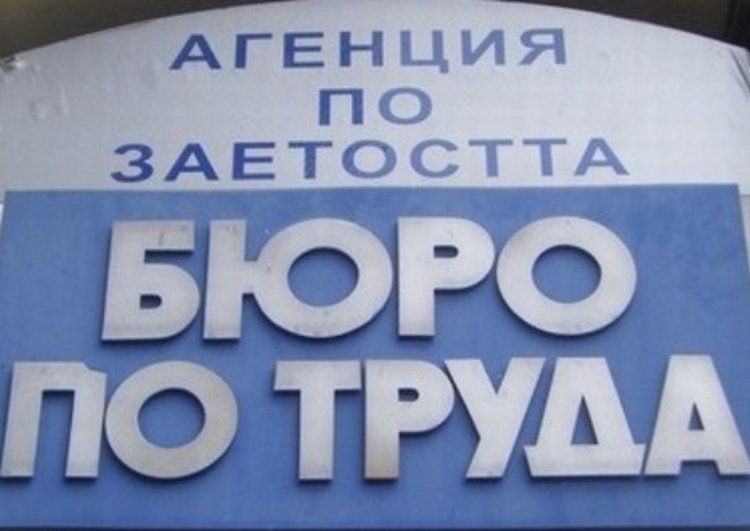 Най-търсени са шивачките, за учителите има свободни лекторски места