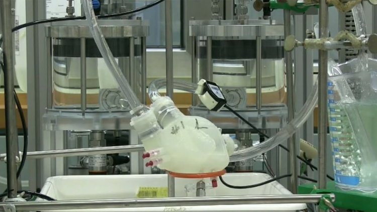 Швейцарци учени създадоха с 3-D принтер изкуствено сърце