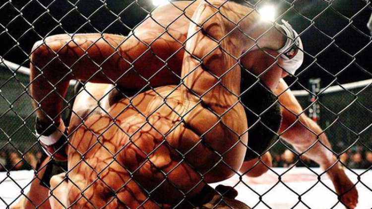 TWINS MMA ще разтърси Перник в началото на март