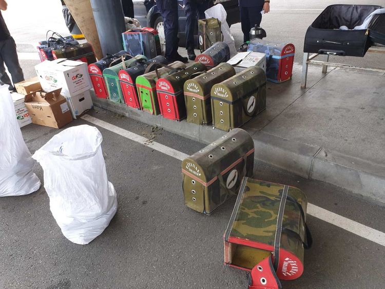 220 кг тютюн за наргиле в клетки за птици задържани на Капитан Андреево
