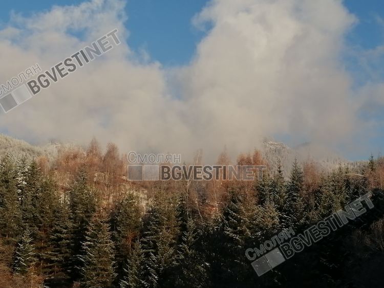 Очаквайте застудяване и валежи от дъжд и мокър сняг