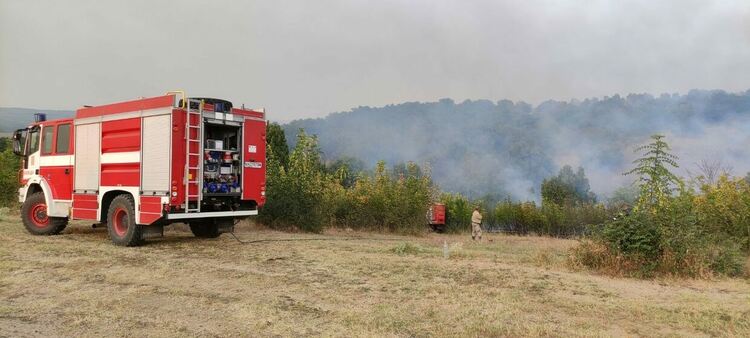 Широколистна гора и треви горят край Брягово, чакат техника за просеки от Пловдив