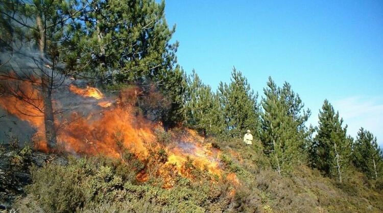 Свикват Областния кризисен щаб заради големите пожари в област Пловдив