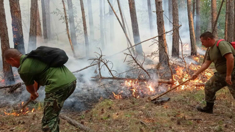 Пожарът в Родопите над Югово се разгоря с нова сила, обявено е частично бедствено положение