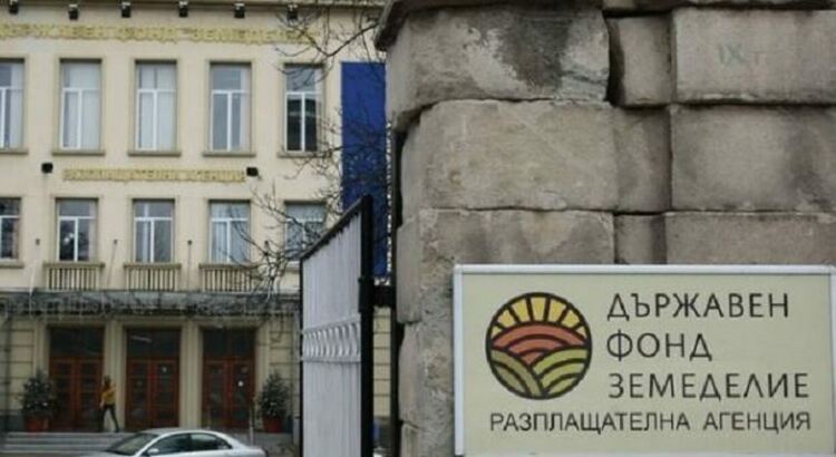 От ДФ "Земеделие" са изпратили уведомителни писма на кандидатите за финансова помощ за слънчоглед
