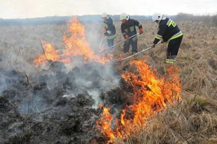 Горяха сухи треви в Левочево