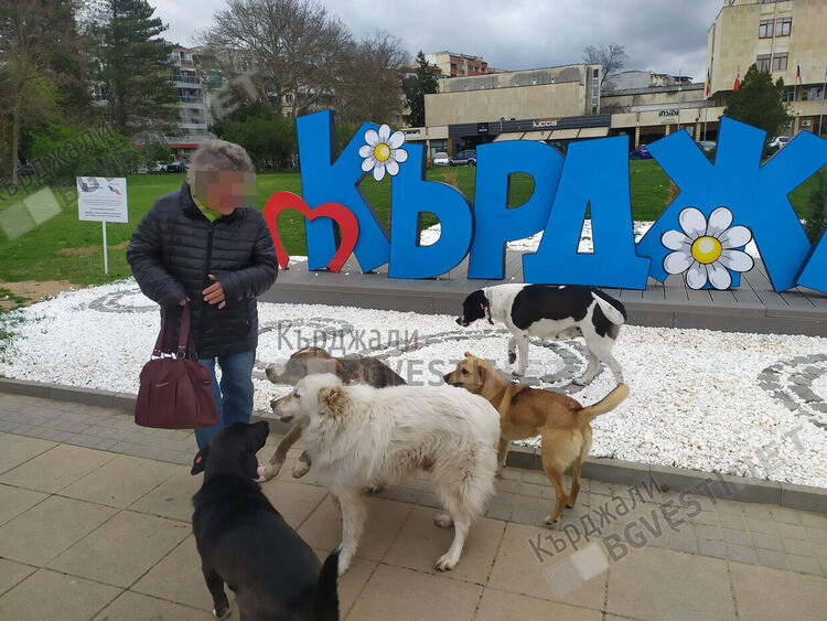 Едва 10% от безстопанствените кучета,попаднали в приют в Община Кърджали се осиновяват,за страната процентът е двойно по-висок