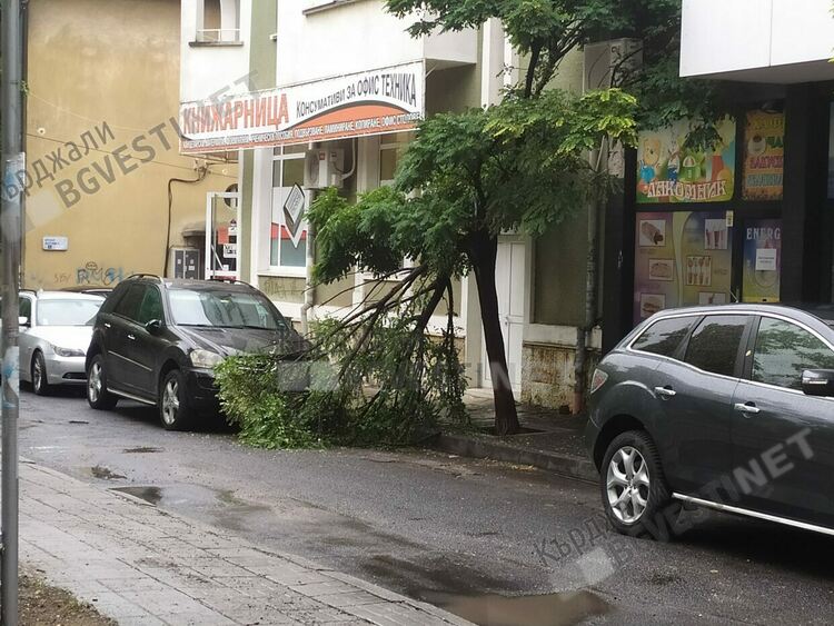 Жълт код за силен вятър в Кърджалийско, в областния център ще бъде 9 м/с