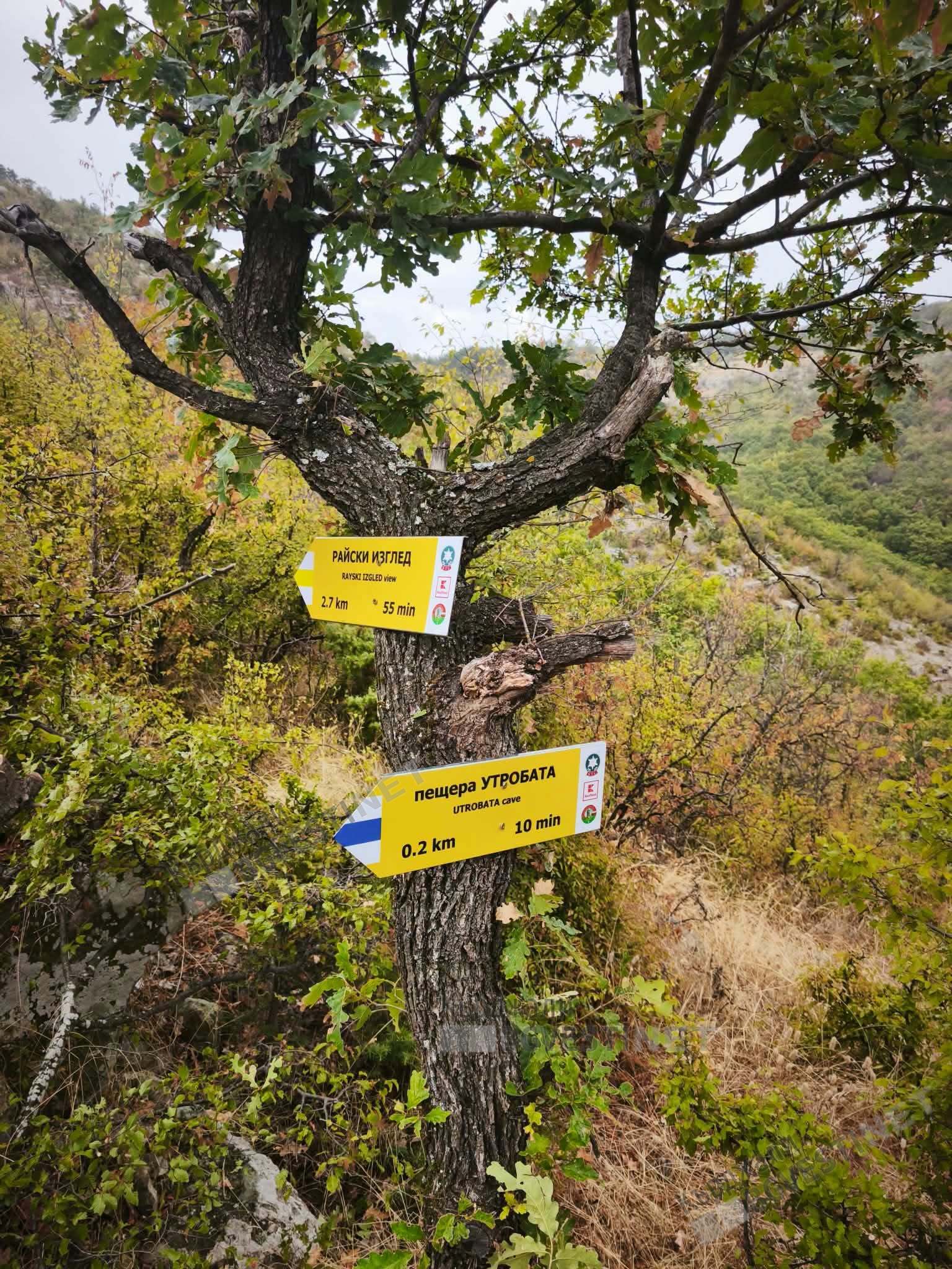 Кампанията "Не губи посоката"започна и  в Кърджали