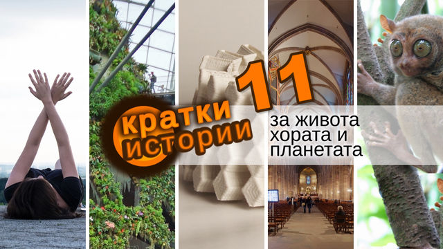 Кратки истории за живота, хората и планетата – еп. 11