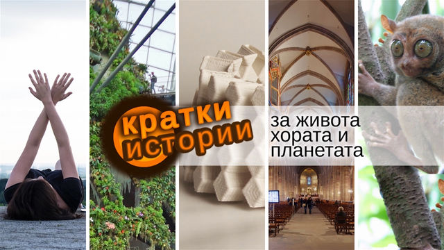 Кратки истории за живота, хората и планетата – Климат