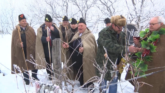 „Цар на Лозята“ коронясаха в село Голямо Асеново