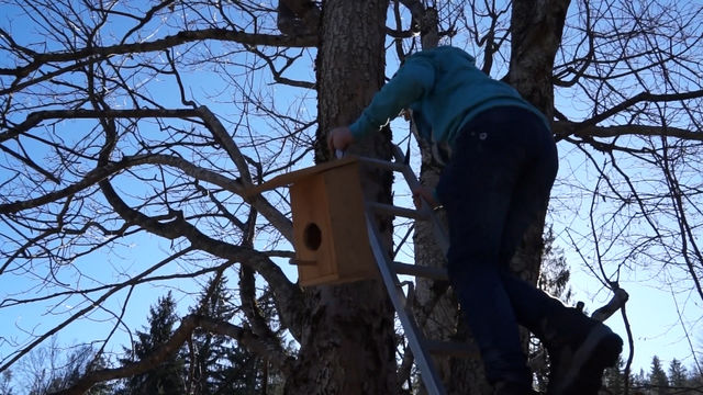 Къщички за птици поставиха млади еколози в местността "Амзово" край Смолян